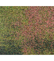 image of a painting titled at the end of the street my parents live on 4