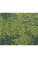 image of a painting titled green world