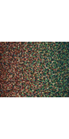 image of a painting titled polarity inversion