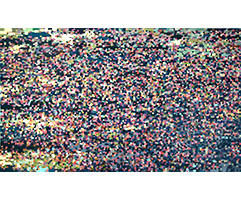 image of a painting titled remember the ladies