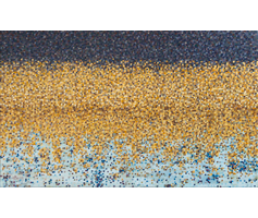 image of a painting titled silent spring