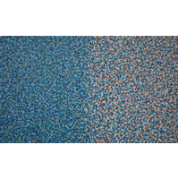 image of a painting titled sumner street